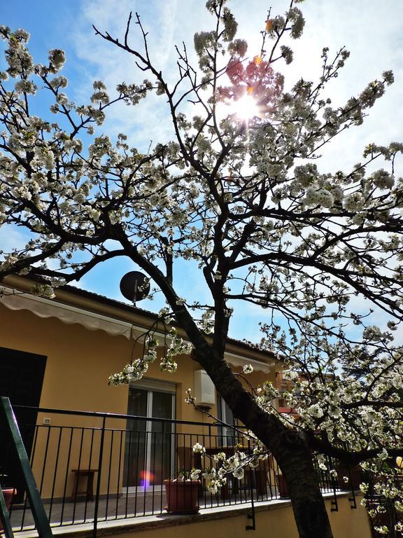 Villa Delle Ciliegie Deiva Marina Exterior foto